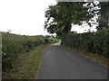 View south-eastwards along the northern section of Bonecastle Road