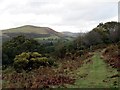 Llwybr Banc Cae Glas Path