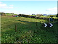 ST4502 : Fields at Wantsley Farm by Nigel Mykura