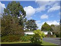 Trees and former offices, County Hall, Exeter