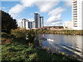 Rowing on the Taff