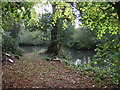 Pond off Runshaw Hall Lane