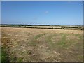 NU2301 : Farmland near Acklington by DS Pugh