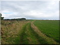 NT8669 : Rural Berwickshire : Halfway To Lumsdaine by Richard West
