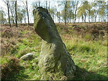 SK2773 : Ancient Stone by Tony Bacon