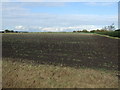 Farmland north of Green Lane