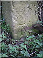 OS benchmark - Lilleshall, stone gatepost