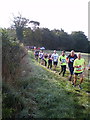 2014 Pattingham Bells cross country race