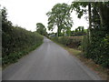 View south along Woodgrange Road