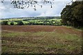 Arable land in Painswick Valley