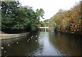 Lake in the botanic gardens, Churchtown