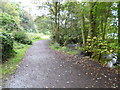 West Highland Way in Allander Park