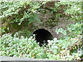 Disused railway bridge over stream by the West Highland Way near Gartness