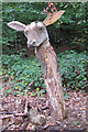 Deer Sculpture, Parndon Wood Nature Reserve