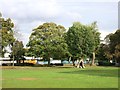 Hollow Tree in Islip Manor Park