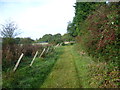 Footpath to Yalding