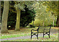 Seat, Musgrave Park, Belfast (October 2014)