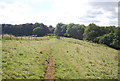 North Downs Way, Wye Downs