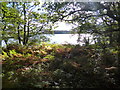 Loch Lomond from the West Highland Way at Sallochy