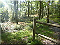 West Highland Way at Sallochy