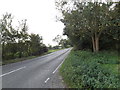 TM2995 : Entering Woodton on the B1332 Norwich Road by Geographer
