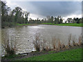 The Lake at Lydiard Park - 2