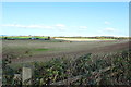 Farmland at Sandyford