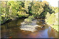 The River Ayr at Sorn