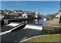 Weir and fish pass in the  Western Cleddau, Haverfordwest