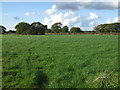 Farmland near Eccleston