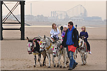 SD3035 : Blackpool : Sandy Beach & Donkeys by Lewis Clarke