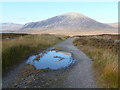 NN2653 : West Highland Way south of Kingshouse by Dave Kelly