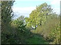 Public footpath approaching Aikhead