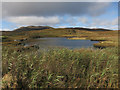 Loch Scotageary, Barra