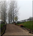 Tree-lined entrance to Rushmere Farm, Crossways