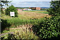 Open grassland at Hollins Green