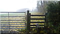 Path stiles in the morning mist near Crewgreen