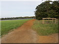 Warren Hill Gallops