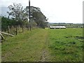 Sheep pasture with track, west of Church Rigg Farm