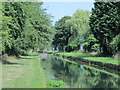 The New River between Turkey Street and Bullsmoor Lane (3)