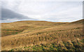 SE0284 : Grassy hill slope with rushes below Harland Hill by Trevor Littlewood