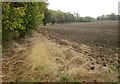 Field, Sandpit Hollow