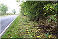 Dry stone wall beside A44 east of Lidstone junction