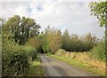 New Road, Colston Bassett