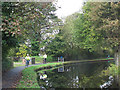 Sinuous canal at Copley