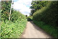 Narrow lane on the North Downs