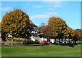 Autumn Colours at Glebe Crescent