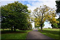 Trees beginning to turn in Mountsfield Park