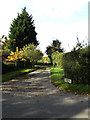 TM2163 : Footpath & entrance to Timbertop Farm by Geographer
