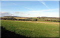 Pasture east of Allenshields